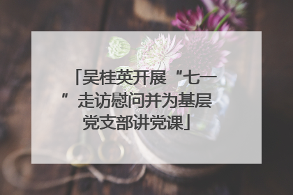 吴桂英开展“七一”走访慰问并为基层党支部讲党课