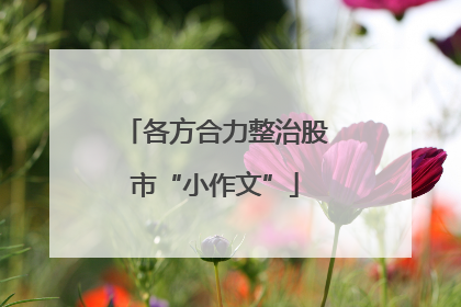 各方合力整治股市“小作文”