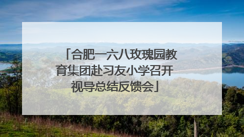 合肥一六八玫瑰园教育集团赴习友小学召开视导总结反馈会