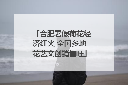合肥暑假荷花经济红火 全国多地花艺文创销售旺