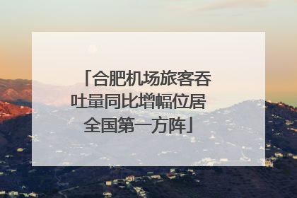 合肥机场旅客吞吐量同比增幅位居全国第一方阵