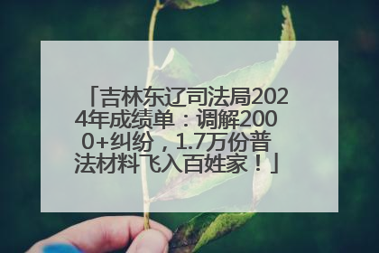 吉林东辽司法局2024年成绩单：调解2000+纠纷，1.7万份普法材料飞入百姓家！
