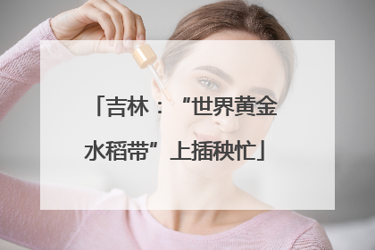 吉林：“世界黄金水稻带”上插秧忙