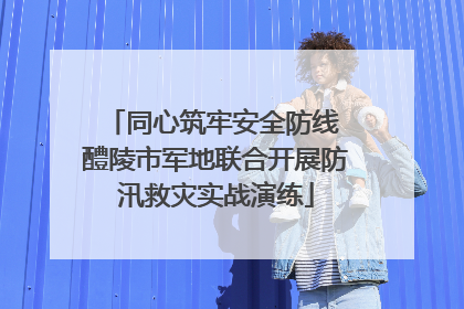 同心筑牢安全防线 醴陵市军地联合开展防汛救灾实战演练
