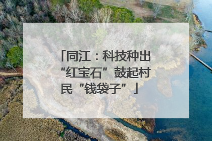 同江：科技种出“红宝石”鼓起村民“钱袋子”