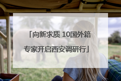 向新求质 10国外籍专家开启西安调研行