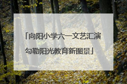 向阳小学六一文艺汇演勾勒阳光教育新图景