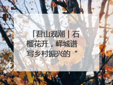 君山观潮｜石榴花开，峄城谱写乡村振兴的“新”篇章