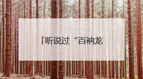 听说过“百衲龙”吗？黄湖青山村“花式”过端午