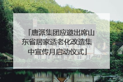 唐派集团应邀出席山东省居家适老化改造集中宣传月启动仪式