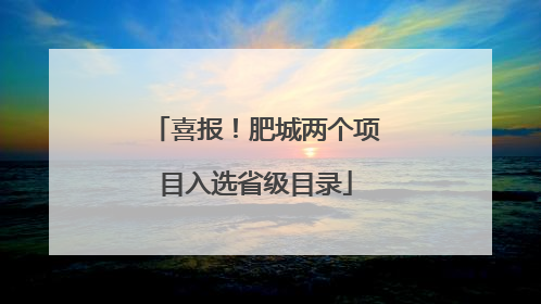 喜报！肥城两个项目入选省级目录