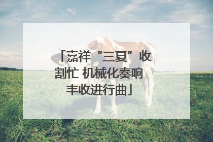 嘉祥“三夏”收割忙 机械化奏响丰收进行曲