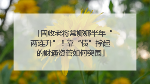 固收老将常娜娜半年“两连升”！靠“债”撑起的财通资管如何突围
