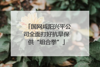 国网咸阳兴平公司全面打好抗旱保供“组合拳”