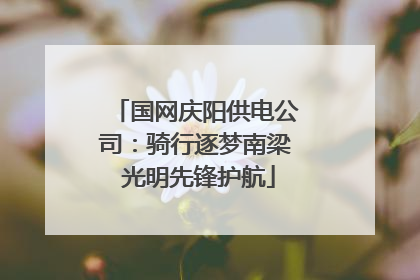 国网庆阳供电公司：骑行逐梦南梁 光明先锋护航