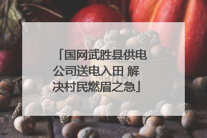 国网武胜县供电公司送电入田 解决村民燃眉之急