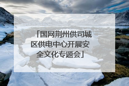 国网荆州供司城区供电中心开展安全文化专题会