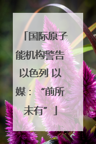 国际原子能机构警告以色列 以媒：“前所未有”
