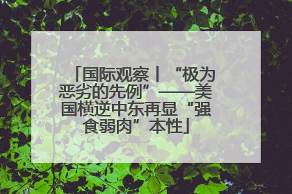 国际观察丨“极为恶劣的先例”——美国横逆中东再显“强食弱肉”本性