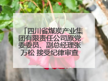 四川省煤炭产业集团有限责任公司原党委委员、副总经理张万松 接受纪律审查和监察调查