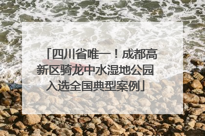 四川省唯一！成都高新区骑龙中水湿地公园入选全国典型案例