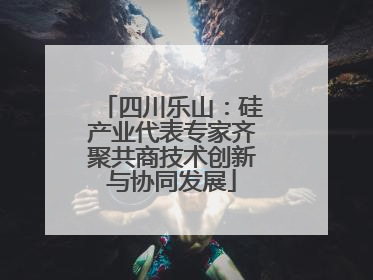 四川乐山：硅产业代表专家齐聚共商技术创新与协同发展