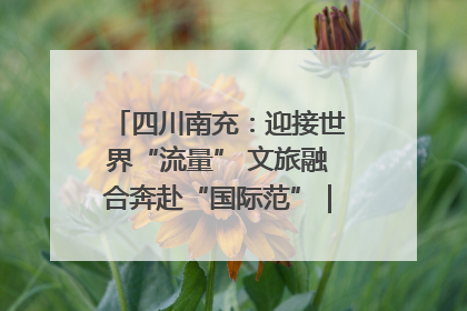 四川南充：迎接世界“流量” 文旅融合奔赴“国际范”｜话锦绣·说安逸