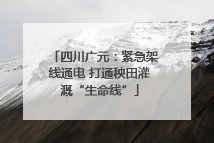 四川广元：紧急架线通电 打通秧田灌溉“生命线”