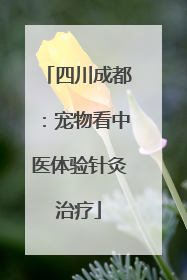 四川成都：宠物看中医体验针灸治疗
