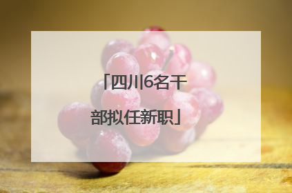 四川6名干部拟任新职
