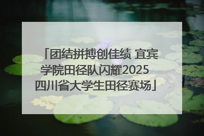 团结拼搏创佳绩 宜宾学院田径队闪耀2025四川省大学生田径赛场