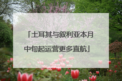 土耳其与叙利亚本月中旬起运营更多直航