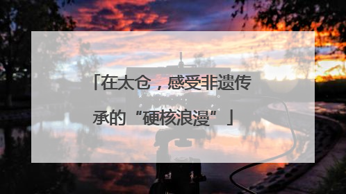 在太仓，感受非遗传承的“硬核浪漫”