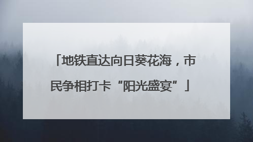 地铁直达向日葵花海，市民争相打卡“阳光盛宴”