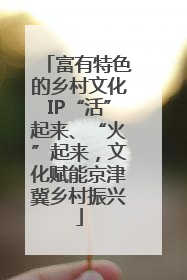 富有特色的乡村文化IP“活”起来、“火”起来，文化赋能京津冀乡村振兴