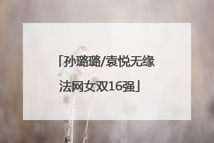 孙璐璐/袁悦无缘法网女双16强