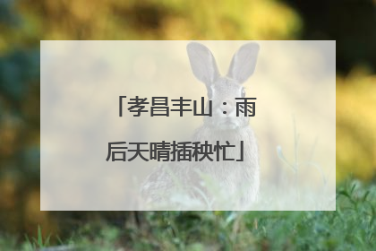 孝昌丰山：雨后天晴插秧忙
