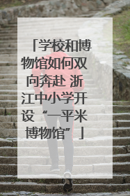 学校和博物馆如何双向奔赴 浙江中小学开设“一平米博物馆”