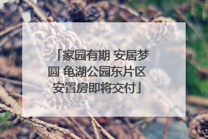 家园有期 安居梦圆 龟湖公园东片区安置房即将交付