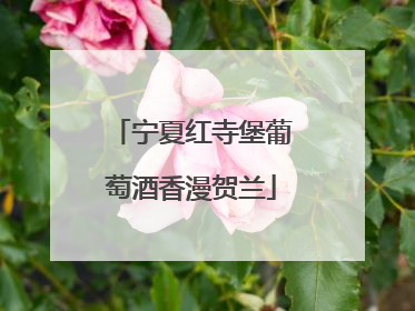 宁夏红寺堡葡萄酒香漫贺兰