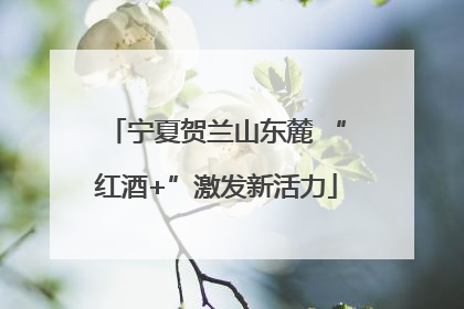 宁夏贺兰山东麓 “红酒+”激发新活力