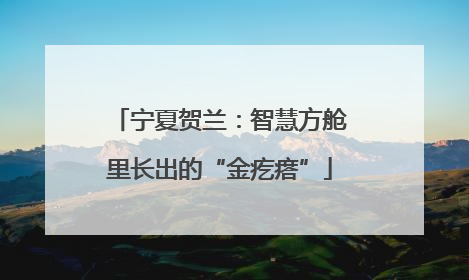 宁夏贺兰：智慧方舱里长出的“金疙瘩”