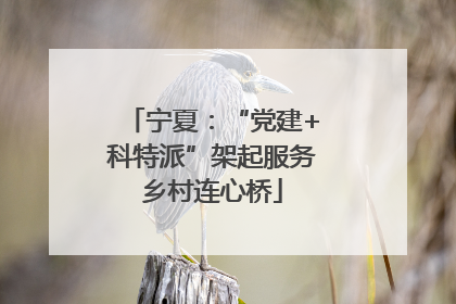 宁夏：“党建+科特派”架起服务乡村连心桥