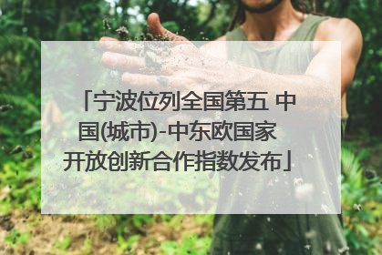 宁波位列全国第五 中国(城市)-中东欧国家开放创新合作指数发布