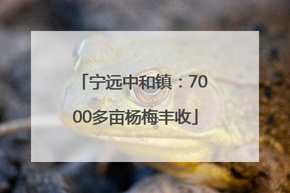 宁远中和镇：7000多亩杨梅丰收