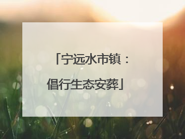 宁远水市镇：倡行生态安葬