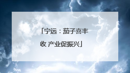 宁远：茄子喜丰收 产业促振兴