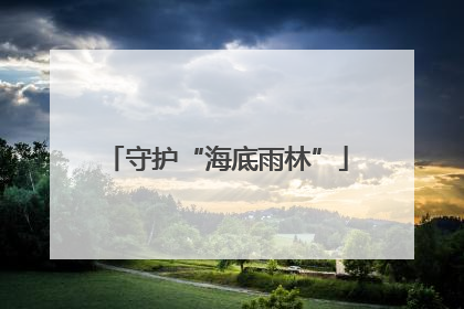 守护“海底雨林”