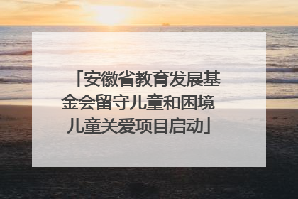 安徽省教育发展基金会留守儿童和困境儿童关爱项目启动
