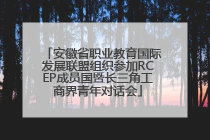 安徽省职业教育国际发展联盟组织参加RCEP成员国暨长三角工商界青年对话会